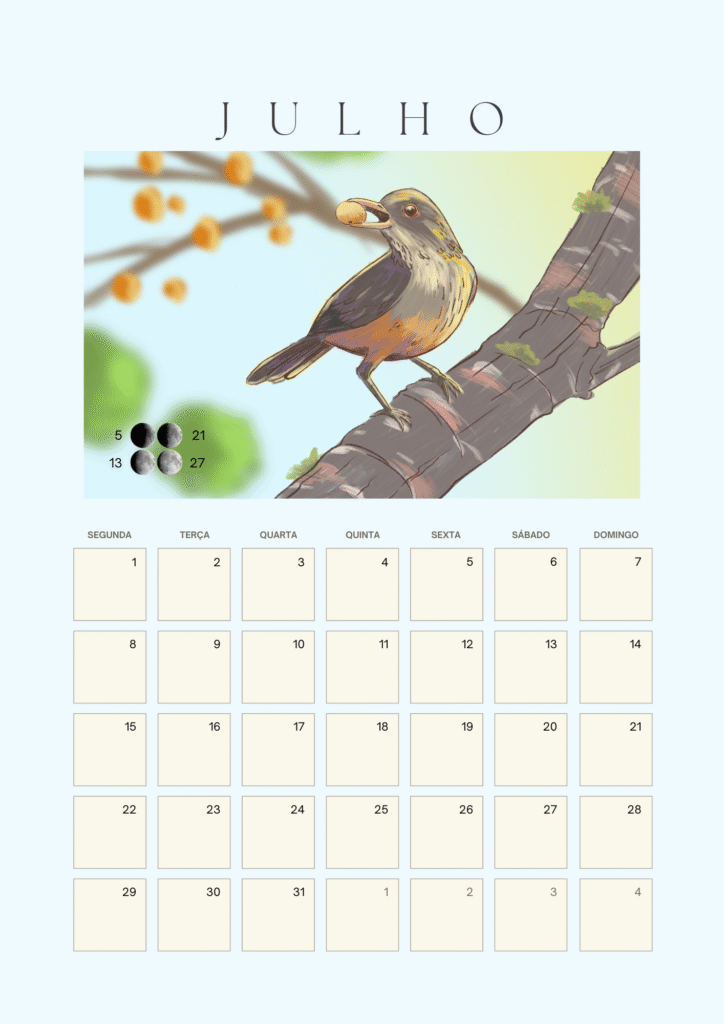 Julho pássaros